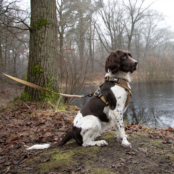 Duvoplus EXPLOR Ultimate Fit No-Pull-Geschirr - honey gold - L - 48-58cm - 58-81cm – Bild 3